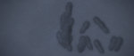 dance02_hdance.jpg