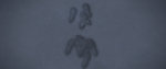 dance03_bdance.jpg