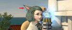 ear_b_s.jpg